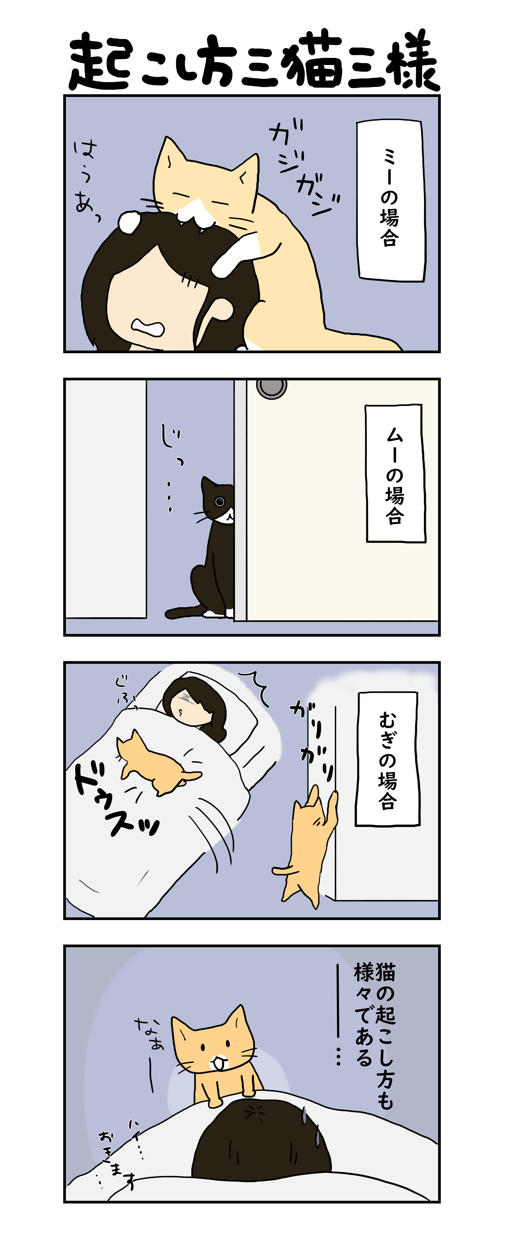 起こし方三猫三様 ねこまんが むぎにゃん