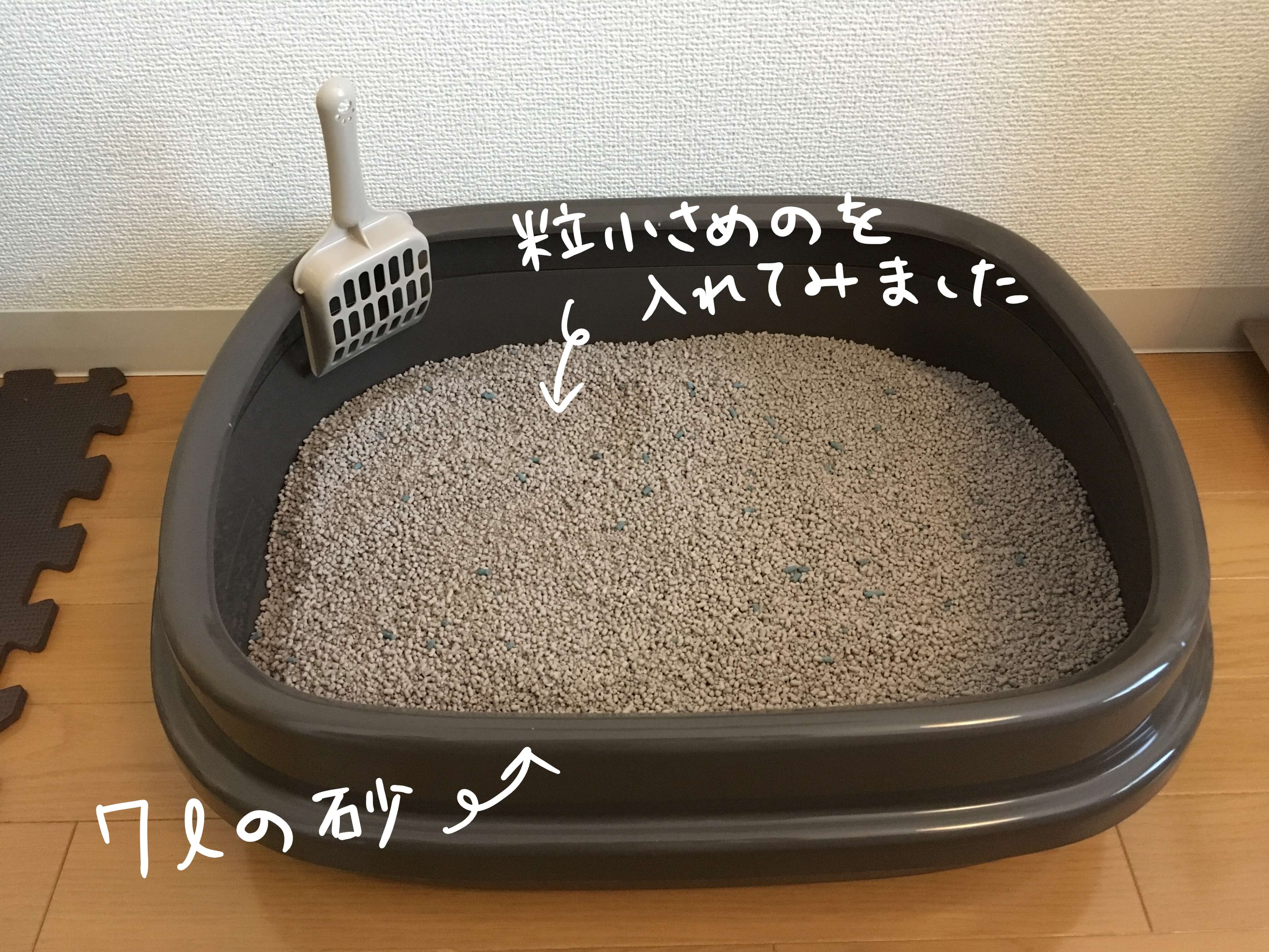 固まる猫砂用のサブトイレを導入｜楽ちん猫トイレはやはり便利！！｜むぎにゃん